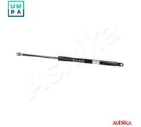 ASHIKA ZSA80000 Tailgate strut
