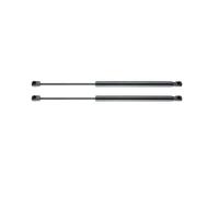 Gas Spring Front Hood Lift Support Gas Spring Shocks Struts For Lexus RX350 RX350L RX450h RX450hL 2016 2017 2018 2019 2020 Shocks Rod