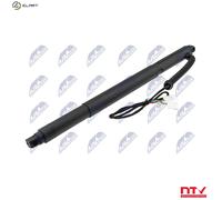 NTY AE-BM-077 Gas Spring, tray (boot / cargo bay)