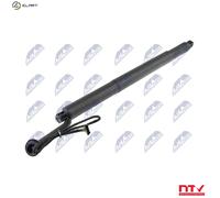 NTY AE-BM-078 Gas Spring, tray (boot / cargo bay)