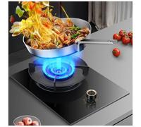 Gas Stove, 5.0KW Camping Cooker, Stainless Steel Catering Indoor Regulators, with Flameout Protection, Tempered Glass Cast Iron Pot Rack, for BBQ, Caravan, Outdoor(LPG)