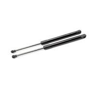 Gas Struts 261MM For Aston For Martin DB9 Coupe 2004-2016 2015 Rear Boot Trunk Lid Gas Springs Prop Rod Lift Support Dampers Back Door Stay(Normal black)