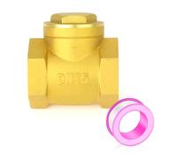 GASHER 1PCS Swing Brass Check Valve DN15 1/2" BSP Female Thread, Backflow Prevention, One Way Check Valves for Sump Pump and Air Compressor, Gas Air Fuel Oil Water