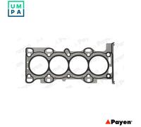 PAYEN AD5220 Gasket, cylinder head