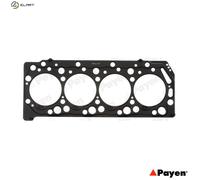PAYEN AH6480 Gasket, cylinder head