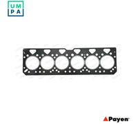 GASKET CYLINDER HEAD BR530 FOR Phaser6.180Ti/160T 6.0L 6cyl
