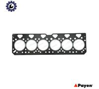 GASKET CYLINDER HEAD BR530 FOR Phaser6.180Ti/160T 6.0L 6cyl