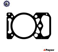 GASKET CYLINDER HEAD BW390 FOR MIPR06.20.45B3/20.45C3/20.45A/20.45A3 9.8L 6cyl