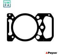 GASKET CYLINDER HEAD BW390 FOR MIPR06.20.45B3/20.45C3/20.45A/20.45A3 9.8L 6cyl