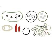 Delphi Overhaul Kit - 7135-277K
