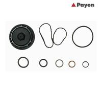 Gasket Kit, crankcase PAYEN EG9760 For NISSAN, RENAULT, OPEL, SAMSUNG, MERCEDES-