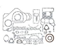 Gasket Kit, crankcase REINZ 8-41465-01 for MERLO P 3.864 1988-1997