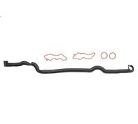 Gasket Set, cylinder head cover ELRING 720.620 for VEL SATIS (BJ0_) 2 2005-2009
