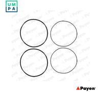 Fits PAYEN HL5191 Gasket Set, cylinder liner HL5191 Cylinder liner gasket set f