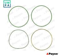 GASKET SET CYLINDER LINER HT018 FOR OM 429.953 10.0L 5cyl OM401.973/975 9.6L