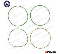 GASKET SET CYLINDER LINER HT018 FOR OM 429.953 10.0L 5cyl OM401.973/975 9.6L