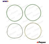 GASKET SET CYLINDER LINER HT018 FOR OM 429.953 10.0L 5cyl OM401.973/975 9.6L