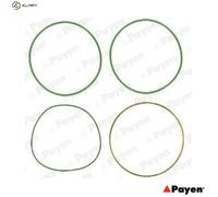 GASKET SET CYLINDER LINER HT018 FOR OM 429.953 10.0L 5cyl OM401.973/975 9.6L