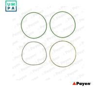 GASKET SET CYLINDER LINER HT018 FOR OM 429.953 10.0L 5cyl OM401.973/975 9.6L
