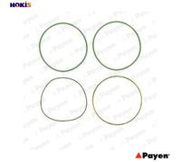 GASKET SET CYLINDER LINER HT018 FOR OM 429.953 10.0L 5cyl OM401.973/975 9.6L