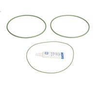 GASKET SET CYLINDER LINER 50006624 FOR CO 3 D VAR.1 4.9L 4cyl OM 429.953 10.0L
