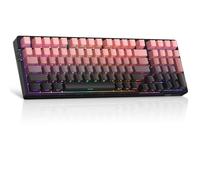 Gasket Structure Light100 Wireless Mechanical Keyboard, 2.4G/USB-C/BT5.0 Hot Swappable Custom Keyboard,RGB Backlit Gaming Keyboard with Side Character Linear Blue Whale Switch, PBT Keycaps - Pink