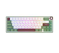 Gasket Wired Hot-swappable 66 Key 65% RGB Backlit Mechanical Keyboard Compatible with Brazilian Portuguese By RK R65(GreenSand)