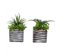 Gasper Succulent Arrangement Artificial Plant Dimensions (W x D x H): approx. 10 x 9 x 18 cm
