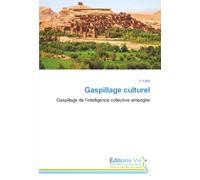 Gaspillage culturel: Gaspillage de l’intelligence collective amazighe