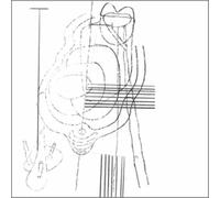 Gastr Del Sol - Camoufleur [VINYL]