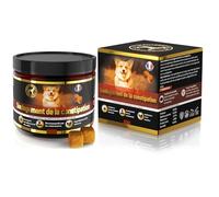 GastroBalance Constipation Relief for Dogs - 100% Natural Ingredients - Dog Stool Softening - 60 Laxative Dog Food Dogs Love (Bacon Gout)