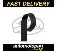 Gates 11 Rib Multi V Drive Belt 11PK2871HD 0009938096 0019937496 0049932096 New