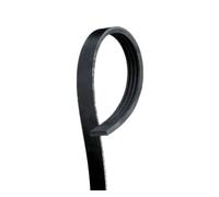 Gates 4PK1510 V-Ribbed Belt