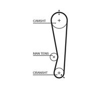 GATES 5591XS Timing Belt