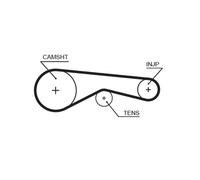 GATES 5625XS Timing Belt