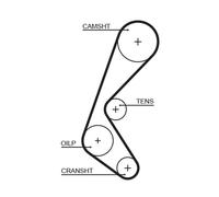 GATES 5628XS Timing Belt for FIAT