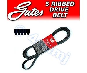 GATES 5pk 1540 ES 5pk1540ES EXTRA SERVICE Micro V Ribbed Fan Auxiliary DriveBelt