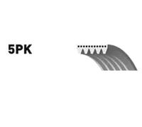 GATES 5PK1023 Serpentine belt