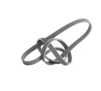 GATES 6DPK1698 V-Ribbed Belt for BMW