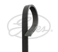Gates 6DPK1698 V-Ribbed Belt Replacement Service Fits BMW 1 Series 3 Series