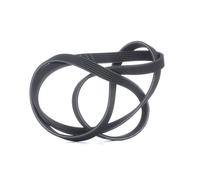 GATES 6DPK1853 Serpentine belt