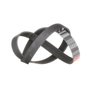 Gates 6PK1010 V-Ribbed Belt