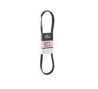 GATES 6PK1019SF Micro-V Xf Ribbed V-Belt