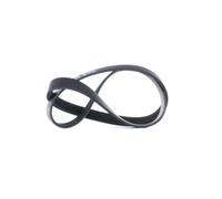 GATES 6PK1030SF Serpentine belt