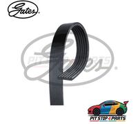 Gates 6PK1245 V-Ribbed Belts EPDM Black 1245 mm Fits Hyundai i10 2013-2019
