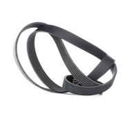 Gates 6PK1453 V-Ribbed Belt