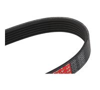 Multi-ribbed V-belt 6PK1555 GATES for BMW FORD OPEL VOLVO PORSCHE ROVER AUDI