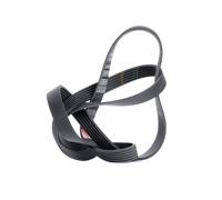 Multi-ribbed V-belt 6PK1565 GATES for CITROËN PEUGEOT FIAT