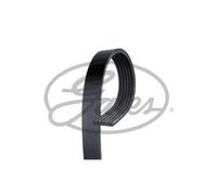Gates 6PK893XS Drive Belt Multi V Rib Fits Citroen 1.6 THP OE Quality Spec