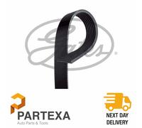 Gates 7PK1335 V-Ribbed Belt Fits Fiat Mercedes Nissan Opel Renault Vauxhall